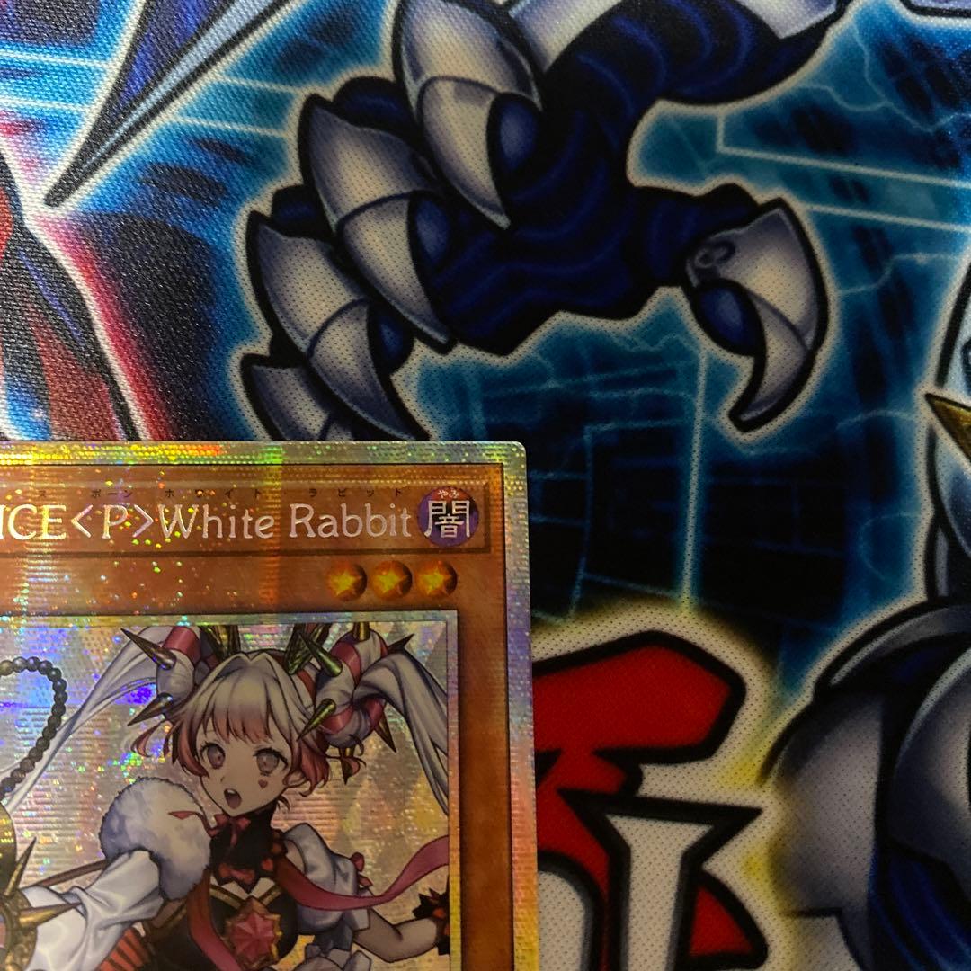 遊戯王 アジア版 M∀LICE <P> White Rabbit プリズマ
