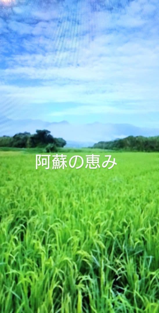 1 令和7年 自然栽培米 亀の尾10kg精米