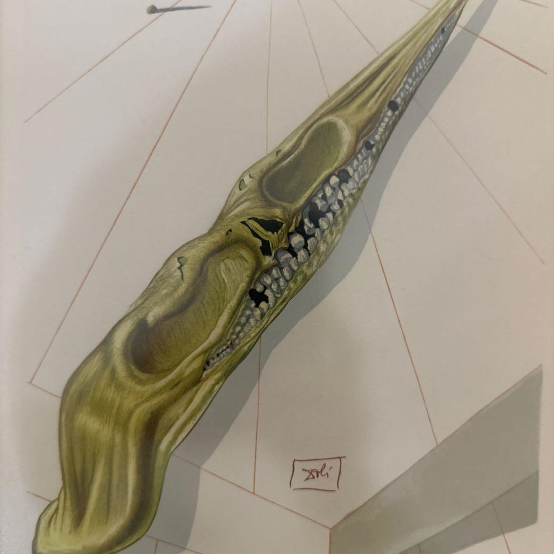 ダリの版画　額装付き