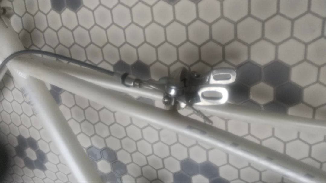 Raleigh ラレー 20インチアルミフレーム