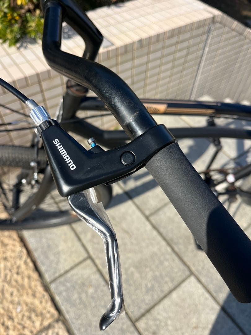 schwinnビーチクルーザー 26インチ湘南激レアビンテージoldmtb