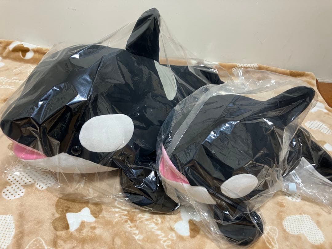 須磨シーオルカくじ1等&2等！