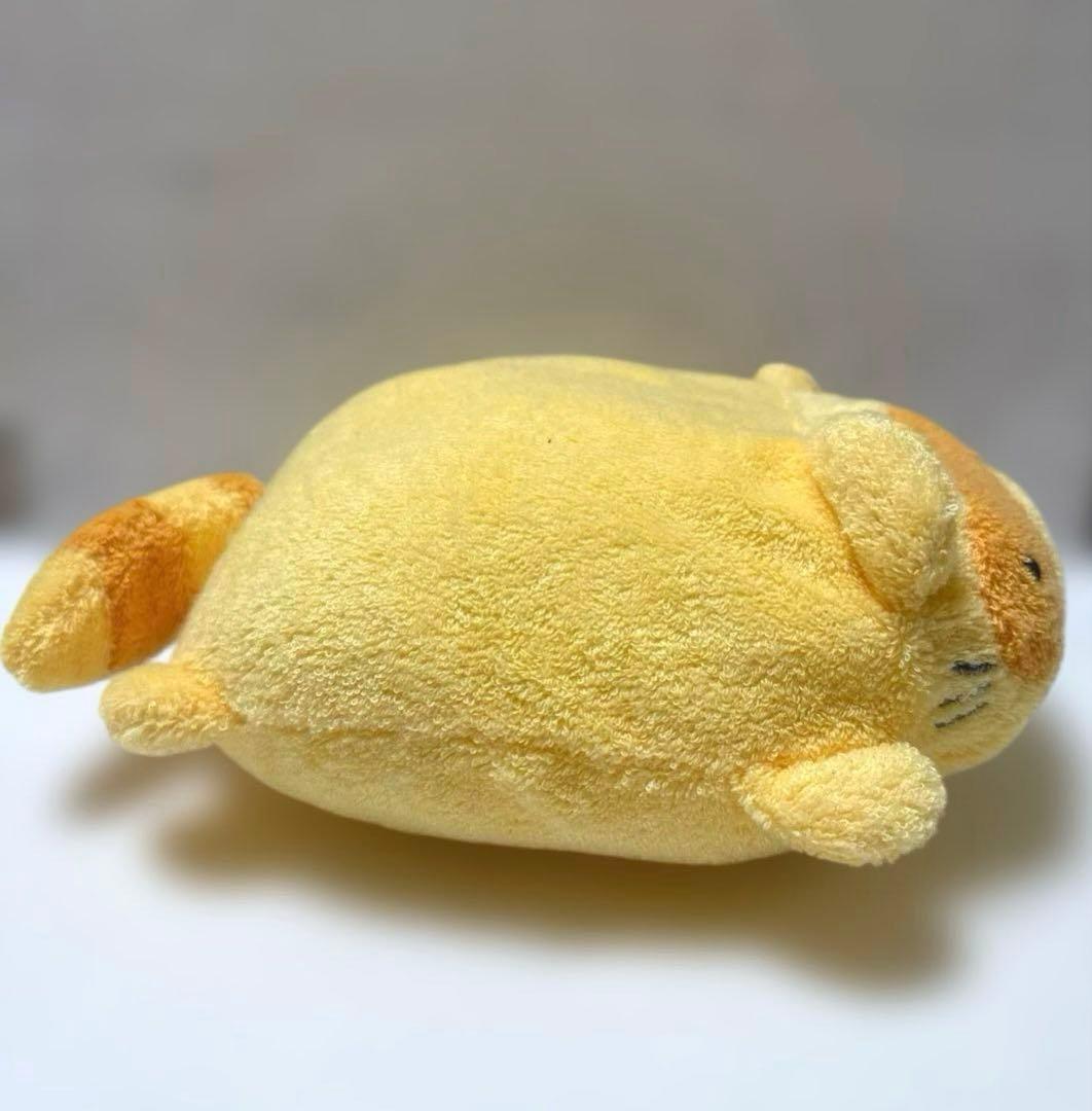 fricca フリッカ まつもと たぬき　ましゅまろせらぴ