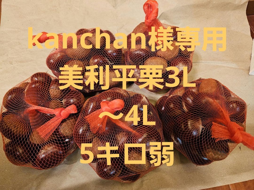 専用　利平栗　栃木県産　無農薬