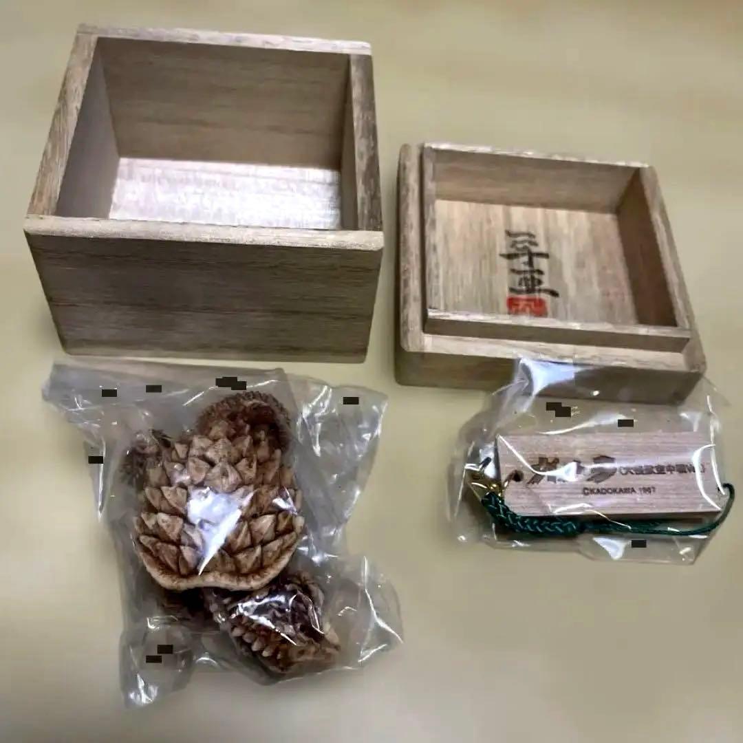 怪獣根付「ガメラ」