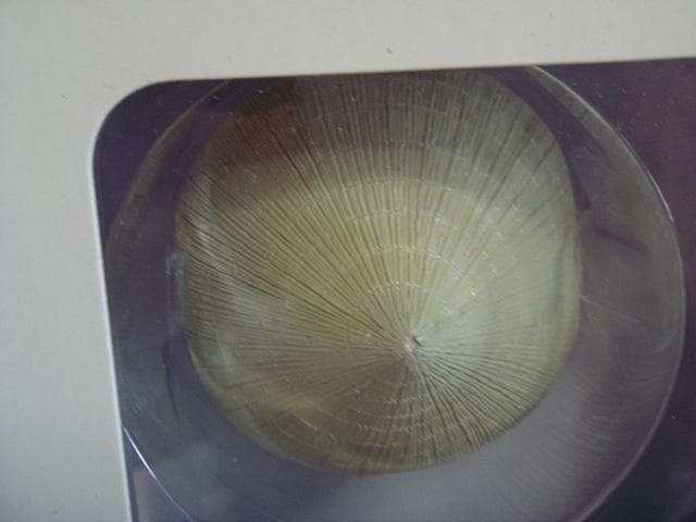 ドラゴン ベトコン リン フィギュア ベトナム dragon viet cong