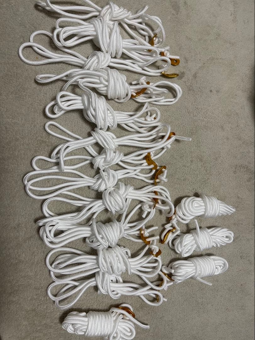 ogawa Apollon S テント