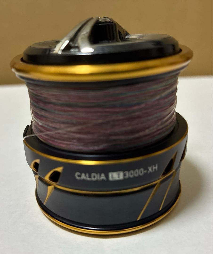 リール DAIWA 21CALDIA LT3000-XH