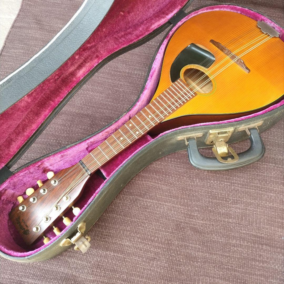 フラットマンドリン マーチン1970年代 要ピックガード交換、