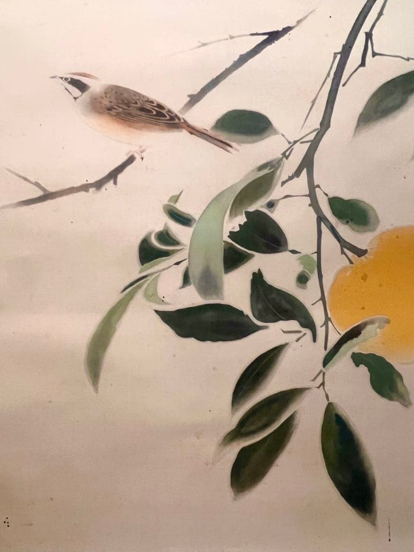 奥村土牛 蜜柑に雀図 印刷工芸品 日本画 掛け軸 掛軸 茶掛 小林古渓師事