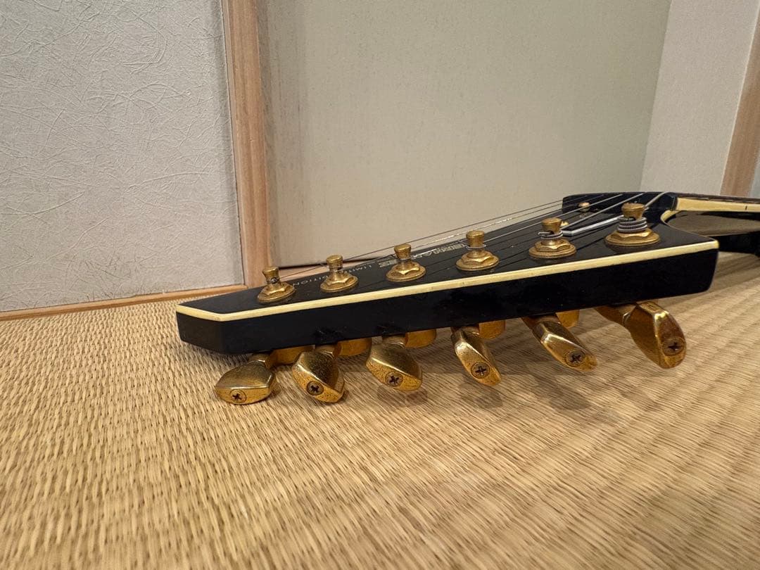 FERNANDES TEJ-55G リミテッドエディション