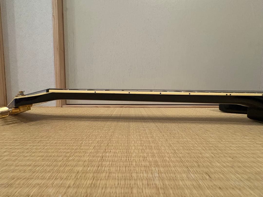 FERNANDES TEJ-55G リミテッドエディション