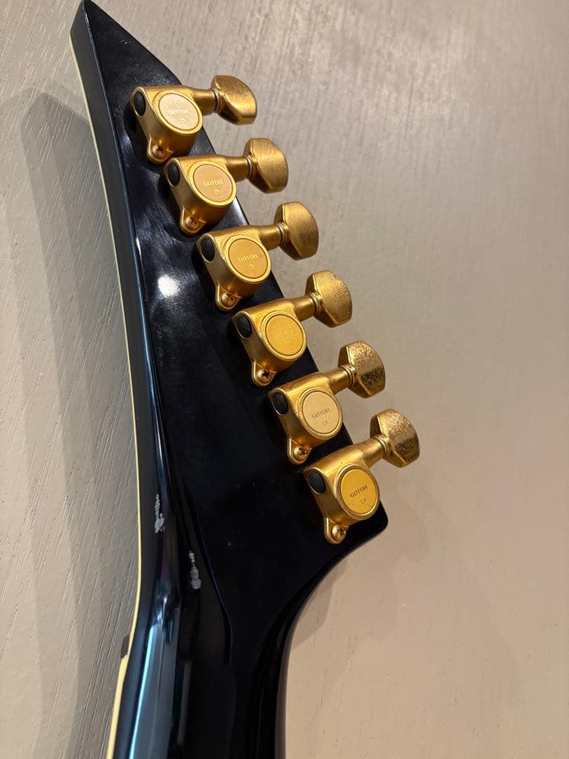 FERNANDES TEJ-55G リミテッドエディション