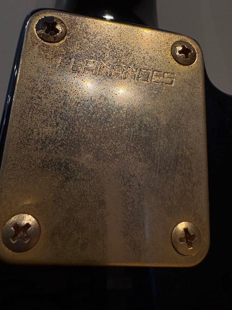 FERNANDES TEJ-55G リミテッドエディション