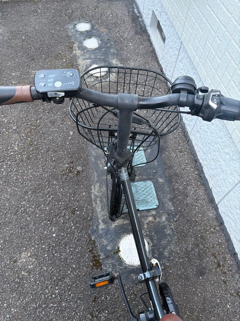 PELTECH 折りたたみ電動アシスト自転車 TDN-206L 12AH