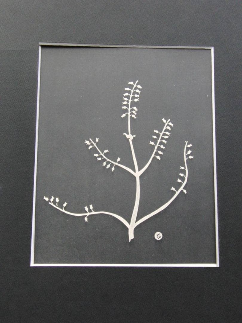 長谷川潔、種子草、厳選、希少画集・額装画、新品高級額 額装付