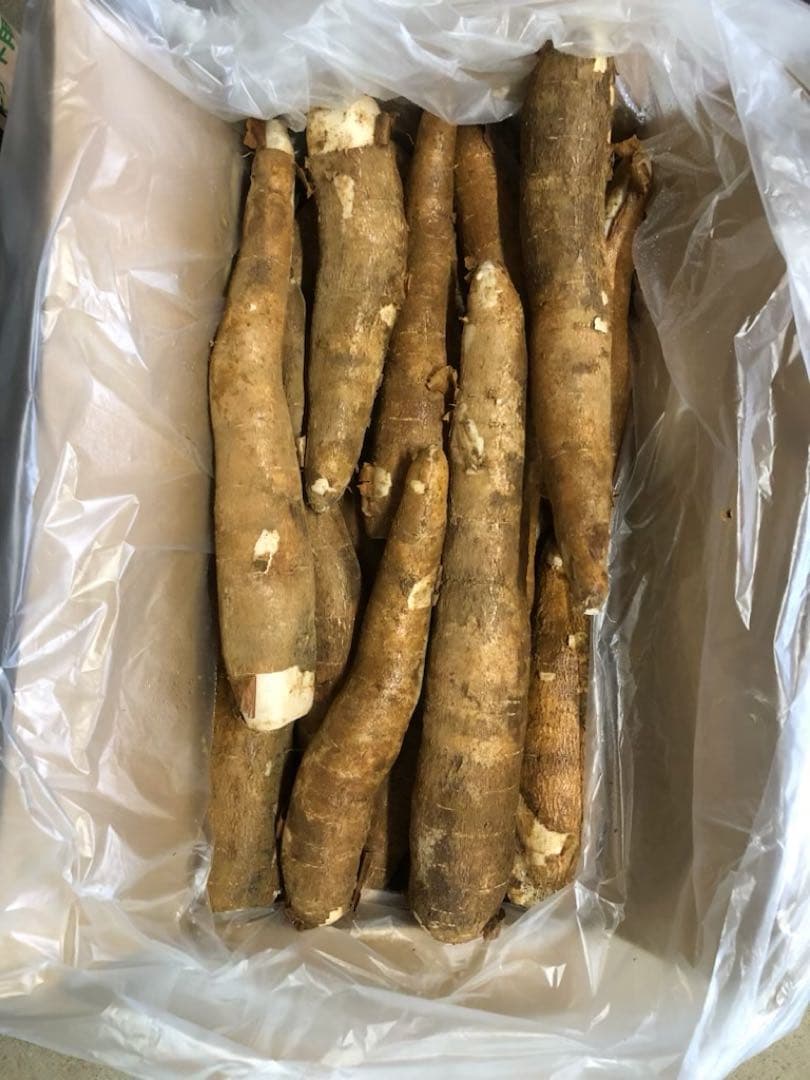 徳之島産キャッサバ生芋イエロー15キロいり