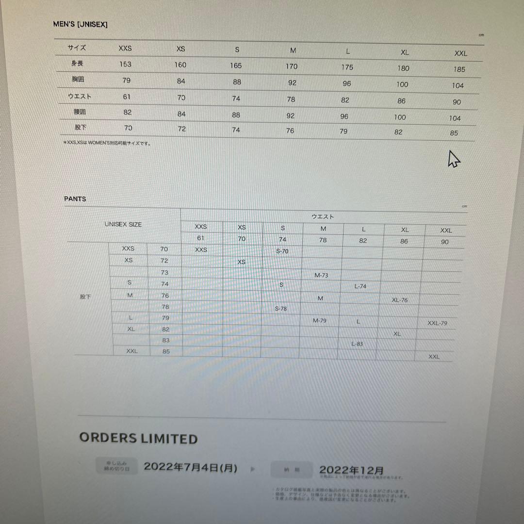 PHENIX BLIZZARD JACKET JP ベージュ