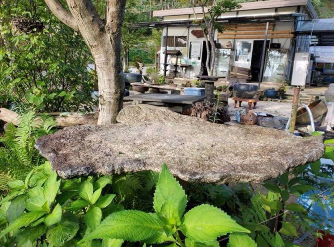 （み148）自然石、平石　盆栽鉢　料理の盛り付け