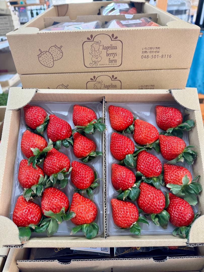 埼玉県プレミアムいちご あまりん 4パック入り