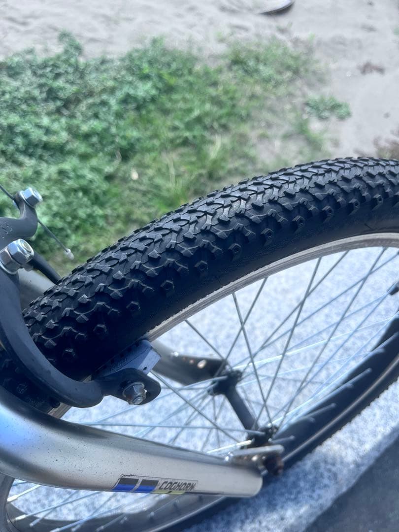 伊佐祐毅 さん専用COCHORN BMX 22インチ