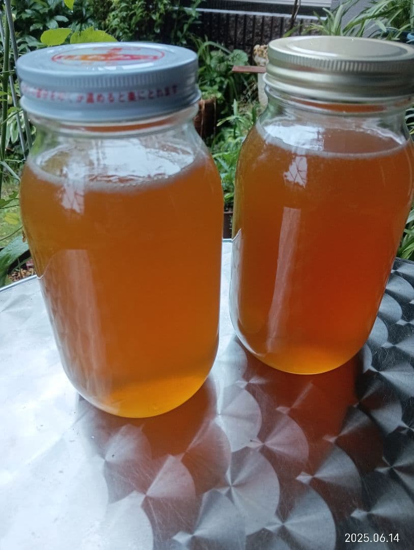 ヒヨコです　ニホンミツバチの百花蜜　国産天然ハチミツ　1180グラム　2本