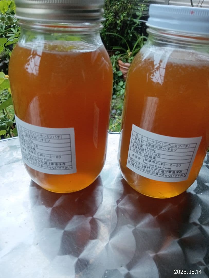 ヒヨコです　ニホンミツバチの百花蜜　国産天然ハチミツ　1180グラム　2本