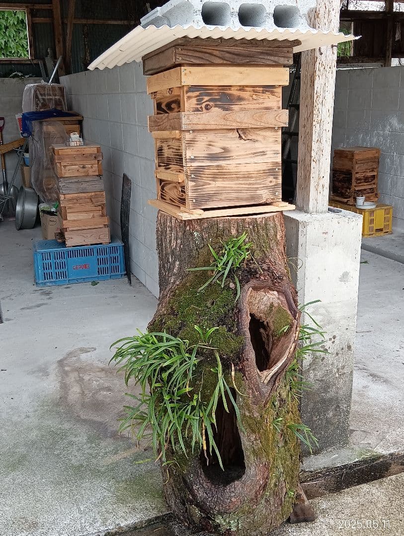 ヒヨコです　ニホンミツバチの百花蜜　国産天然ハチミツ　1180グラム　2本