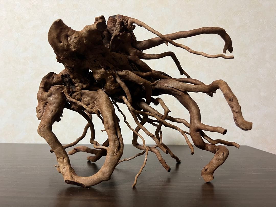 10936 ブランチウッド　流木　アクアリウム　沈水確認済