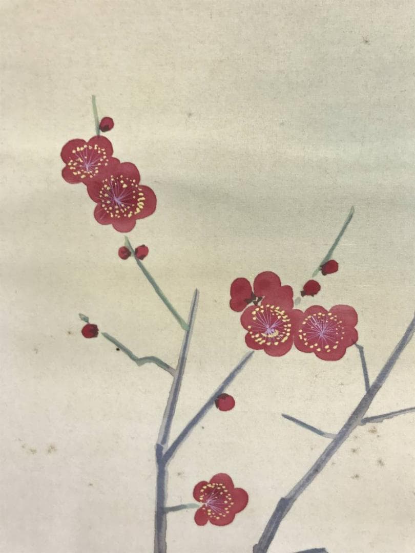 【真作】三宅凰白/紅梅小禽図/花鳥図/掛軸/名家伝来/AD-387