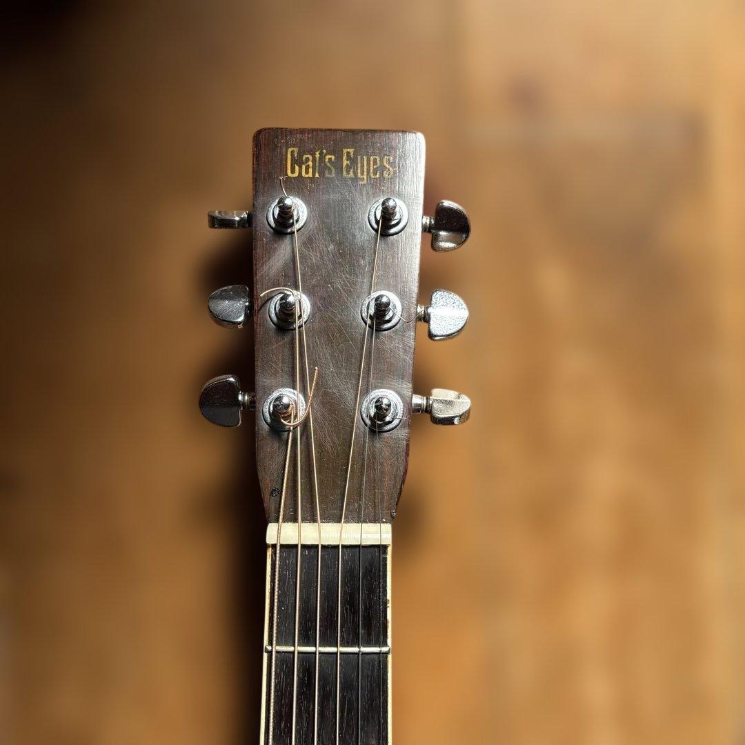 キャッツアイ　CE250ST