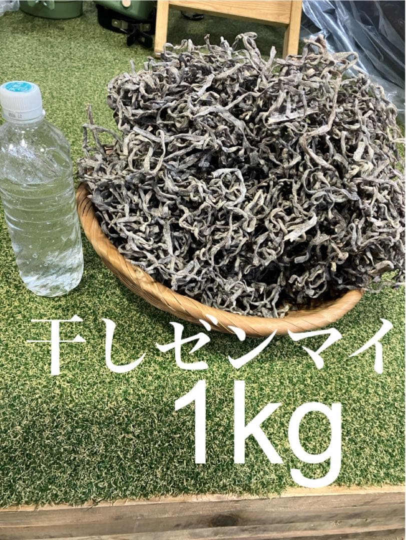 干しゼンマイ（塩仕込み）1kg