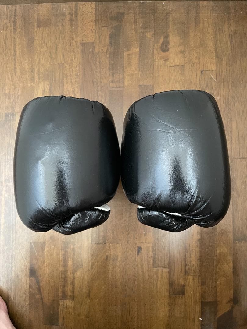 【値下げしました】レイジェス公式用グローブ【セーフテック　紐式】 8オンス