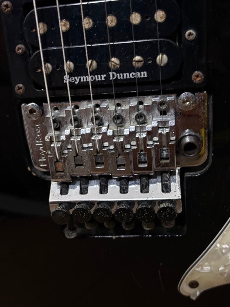 A*y様 ESP LTD SA-2リッチーサンボラモデル直筆サイン入ギターbon