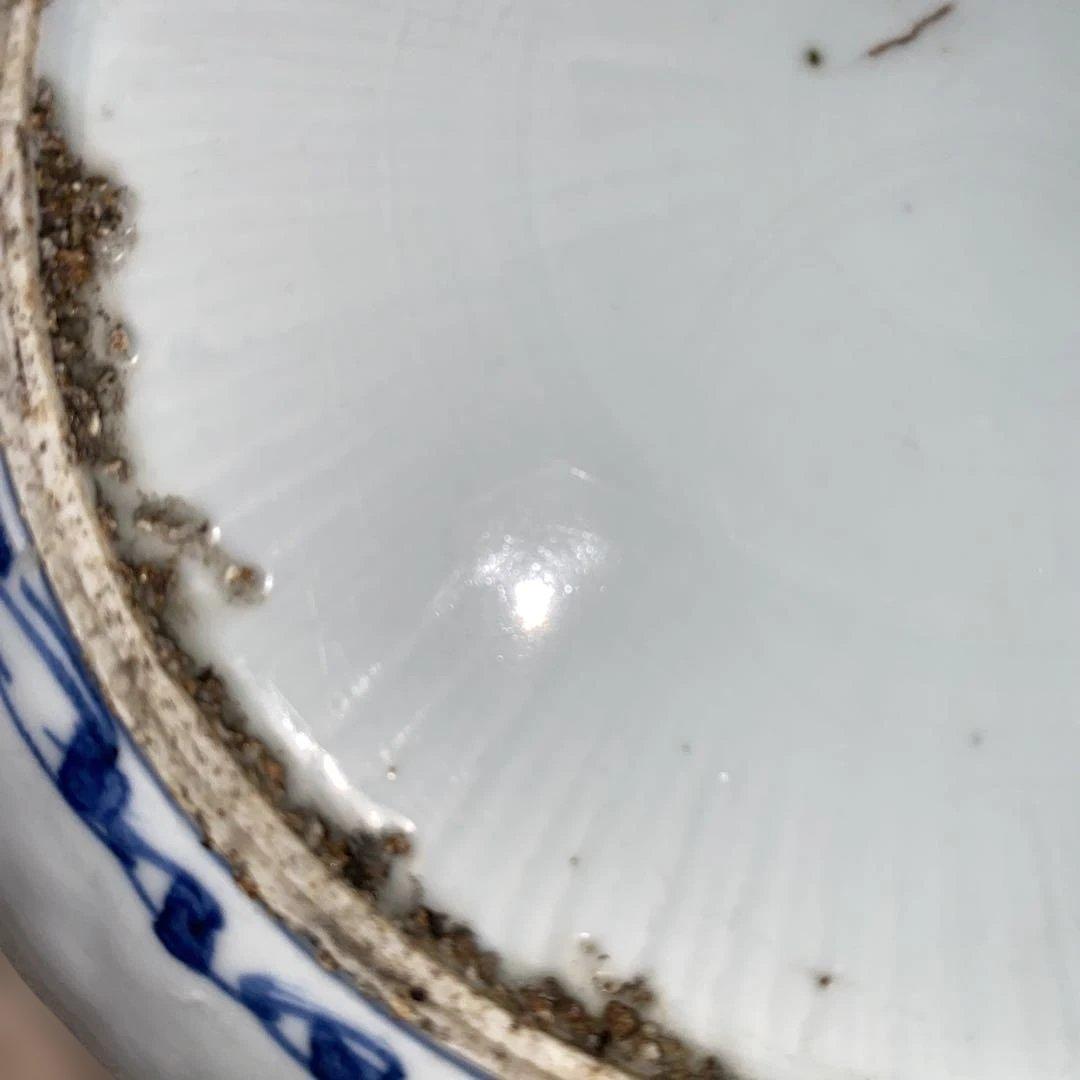 古染付　鳥草花文　7寸皿　明末清初期