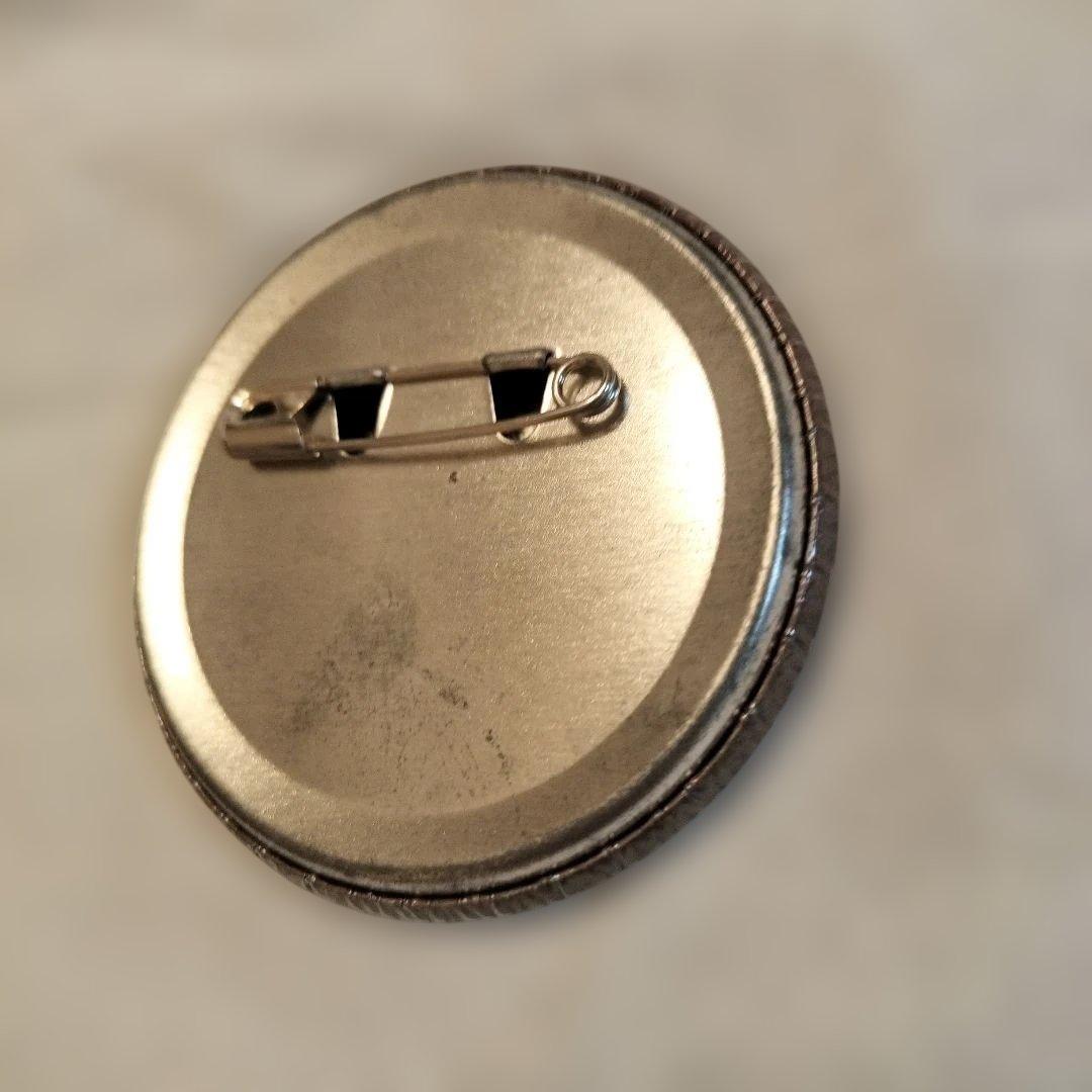 鬼滅の刃 バレンタイン 柱 プリロール 缶バッジ