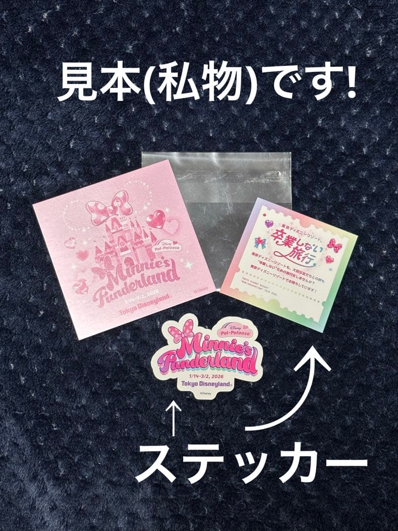 ミニー ファンダーランド ぬいぐるみ ミニパル パルパルーザ ディズニーランド