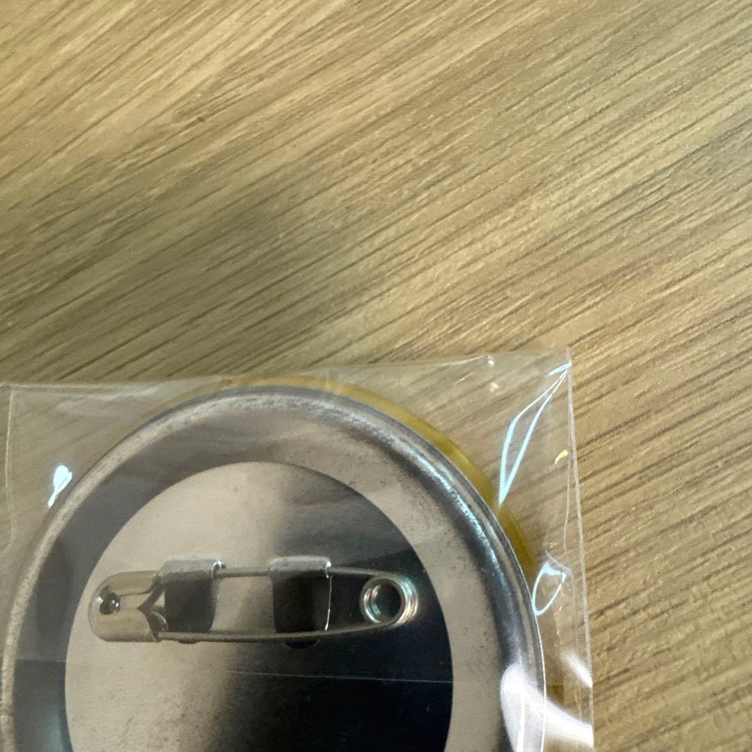 ポケモン XY カロス トレーナー 缶バッジ カルネ　メガサーナイト【4927