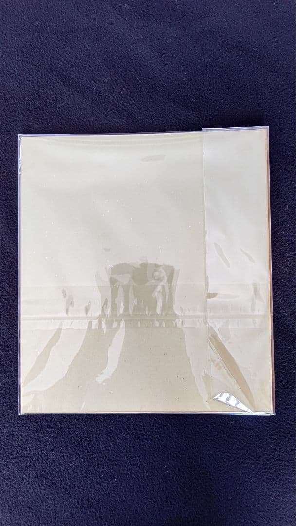 松本零士サイン メーテル 直筆サイン入り色紙 銀河鉄道999 当選品