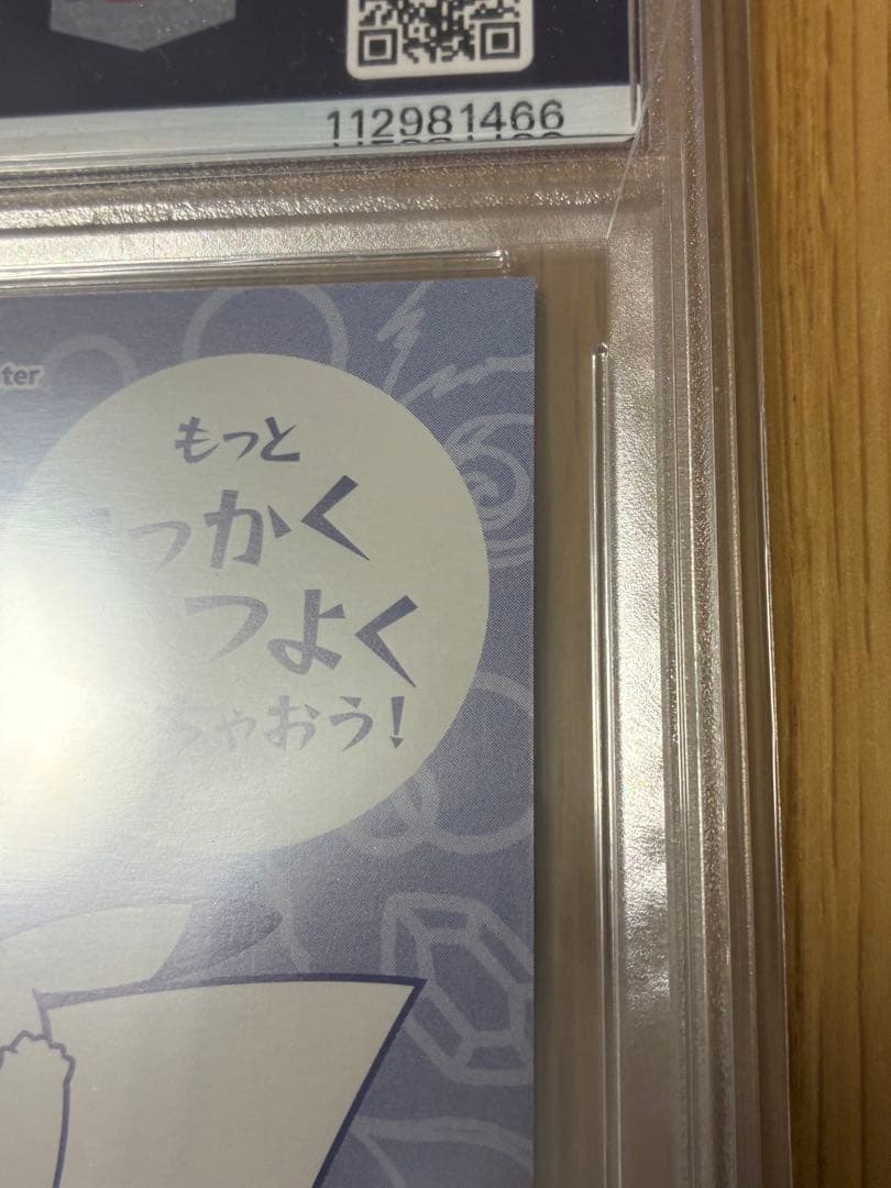 PSA10☆ポンチョを着たピカチュウ☆名刺カード メガリザードン