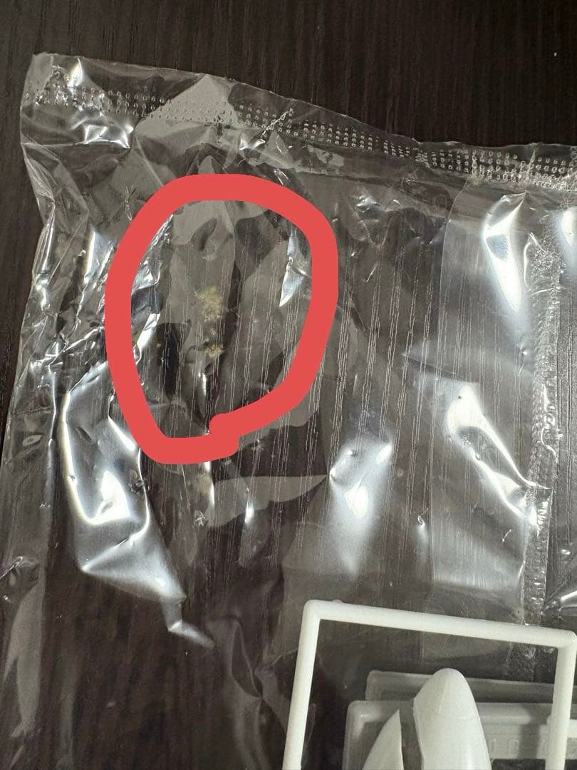 【未使用・レア】ANA ポケモンジェット 模型 ボーイング767-300