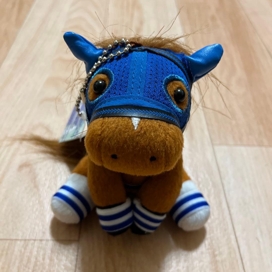 アイドルホースselection 第53回有馬記念　ダイワスカーレット