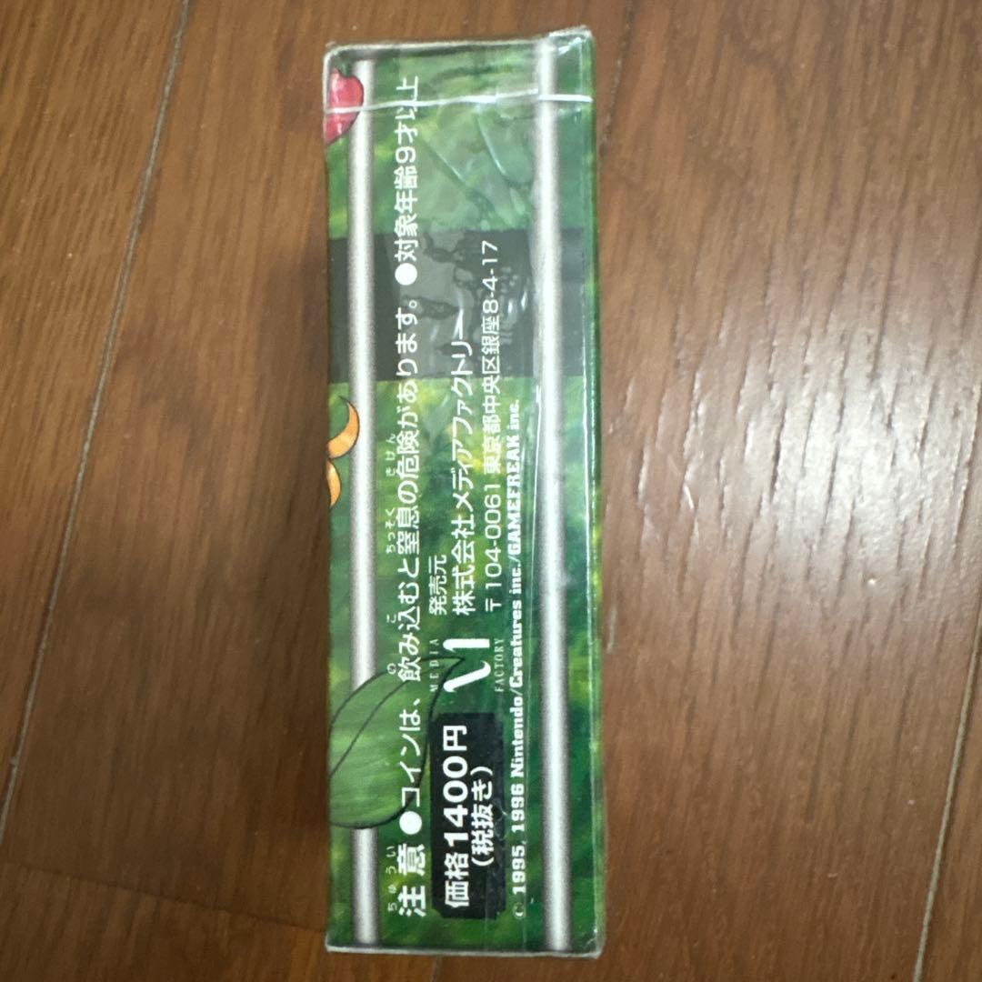 ポケモンカードゲーム タマムシシティジム エリカ