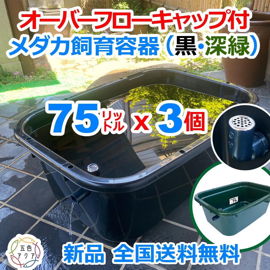 メダカ飼育ケース 75㍑x3個 黒・深緑あり オーバーフロー 金魚飼育容器 越冬