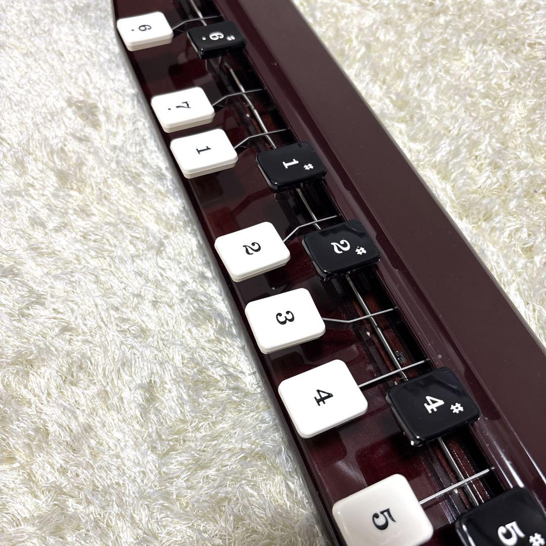 【ケース付き】 スズキ 大正琴 蘭 バス 電子