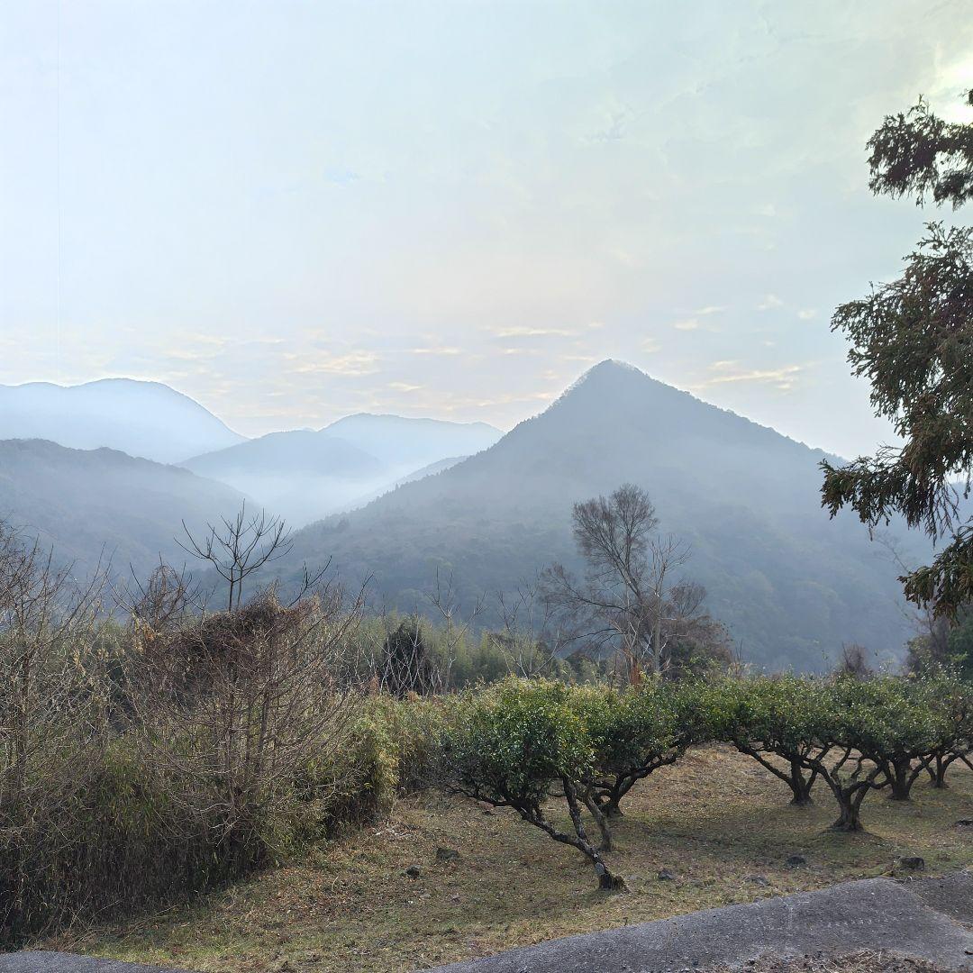 火水風土かみうふどさんの大分県中津市産 農薬不使用かけ干し玄米30kg一番水利用