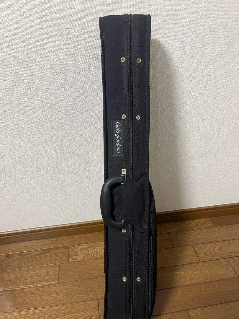 Carlo giordano Silenzia EV202 エレキバイオリン