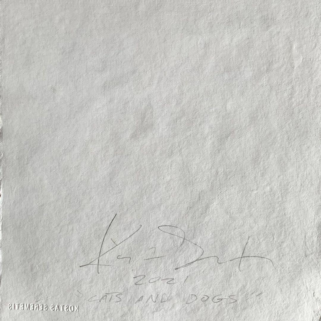 kostas seremetis CATS AND DOGS スヌーピーkaws