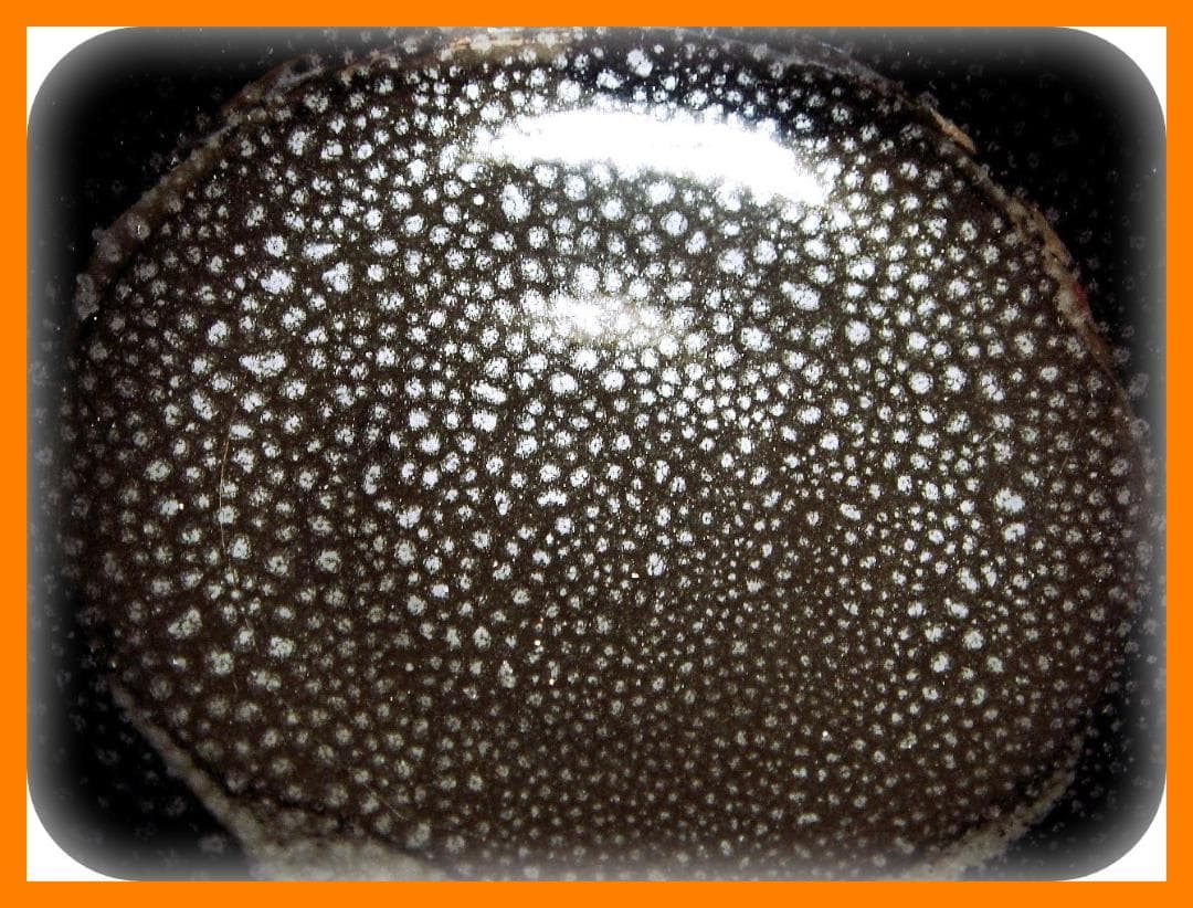 410『油滴茶碗』　/骨董品 古美術 古玩 アンティーク