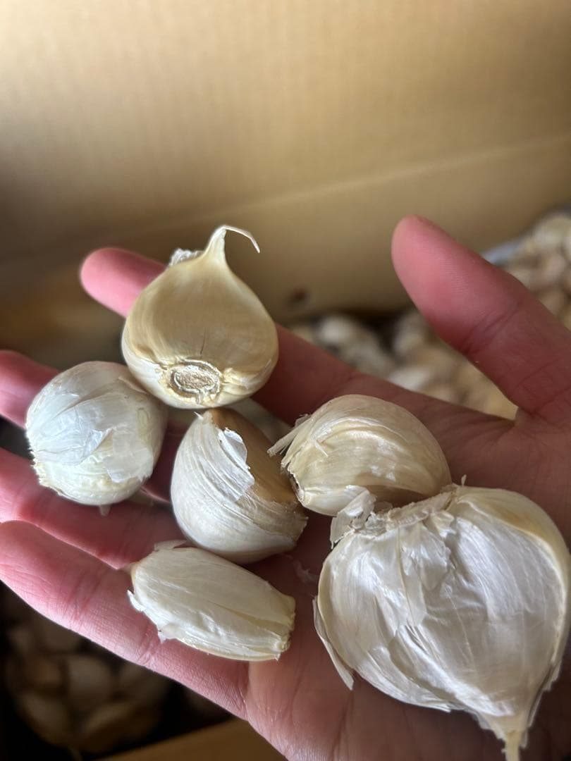 【お買い得セール】青森県 福地ホワイト にんにく L.2Lバラ 10kg 家庭用